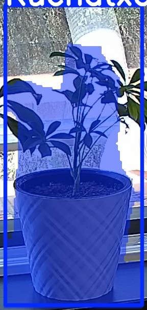 TREE-000013_20260623_131751.jpg