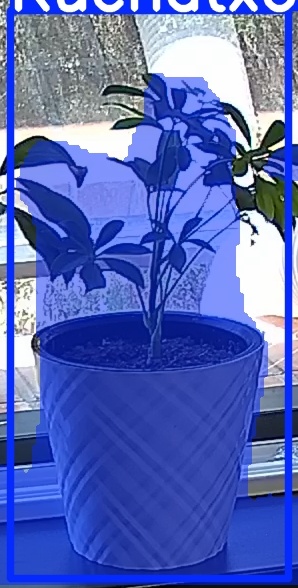 TREE-000013_20260623_131903.jpg