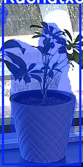 TREE-000013_20260623_132013.jpg