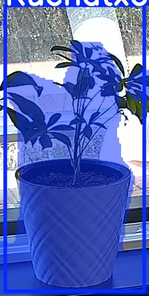 TREE-000013_20260623_132122.jpg