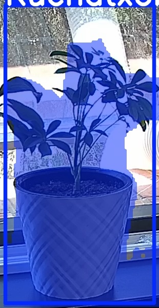 TREE-000013_20260623_132233.jpg