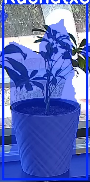 TREE-000013_20260623_132343.jpg