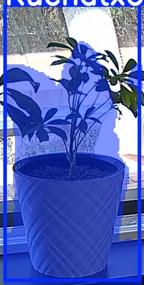 TREE-000013_20260623_132454.jpg