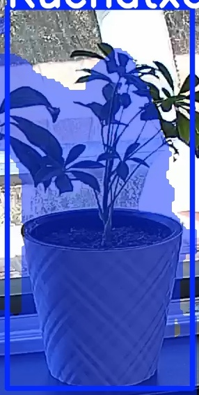 TREE-000013_20260623_132604.jpg