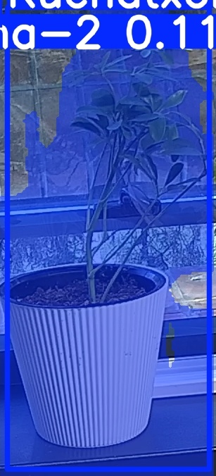TREE-000014_20260623_053450.jpg