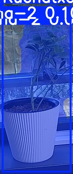 TREE-000014_20260623_054012.jpg