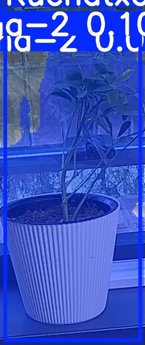 TREE-000014_20260623_054122.jpg