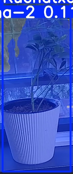 TREE-000014_20260623_054358.jpg