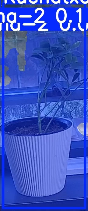 TREE-000014_20260623_054508.jpg