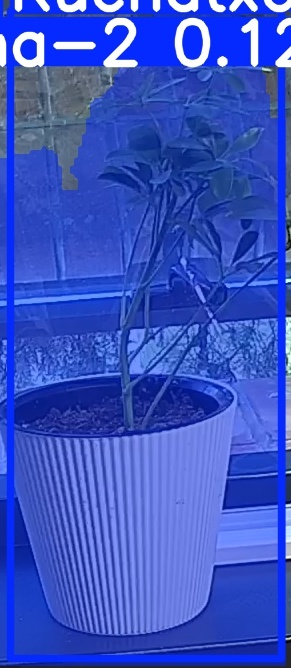 TREE-000014_20260623_054742.jpg