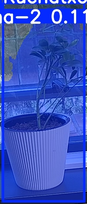 TREE-000014_20260623_064051.jpg