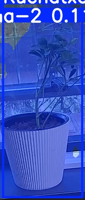 TREE-000014_20260623_064201.jpg