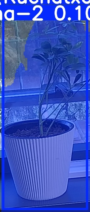 TREE-000014_20260623_064310.jpg