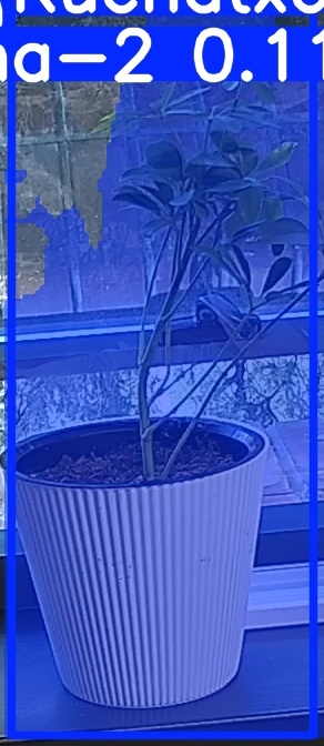 TREE-000014_20260623_064434.jpg