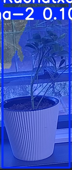 TREE-000014_20260623_064710.jpg