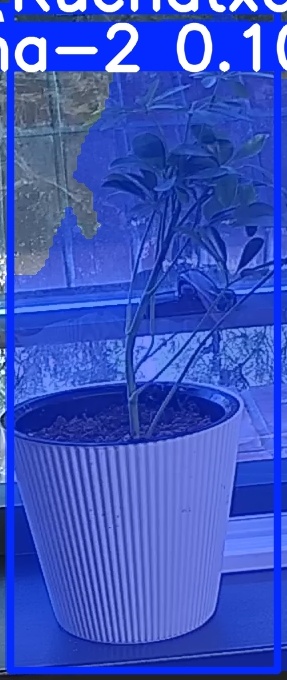 TREE-000014_20260623_064835.jpg