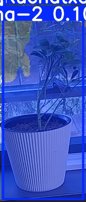 TREE-000014_20260623_064945.jpg