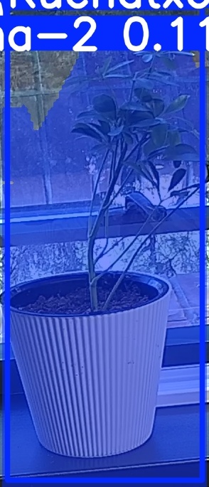 TREE-000014_20260623_073837.jpg