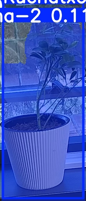 TREE-000014_20260623_073948.jpg