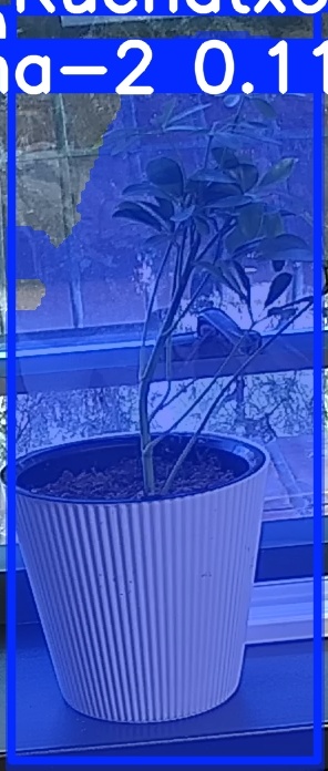 TREE-000014_20260623_074057.jpg