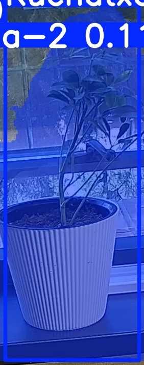TREE-000014_20260623_074332.jpg
