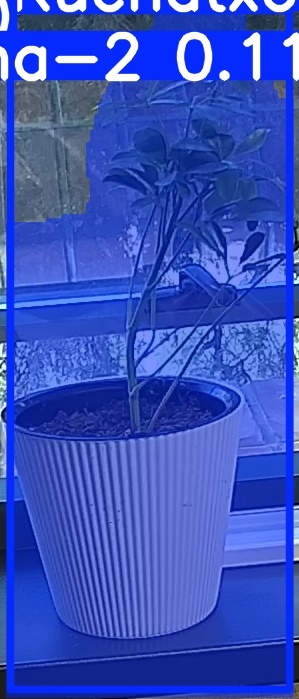 TREE-000014_20260623_074442.jpg