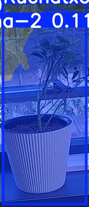 TREE-000014_20260623_074552.jpg
