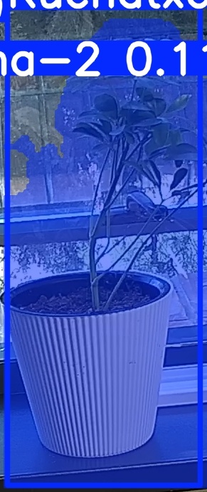 TREE-000014_20260623_075158.jpg