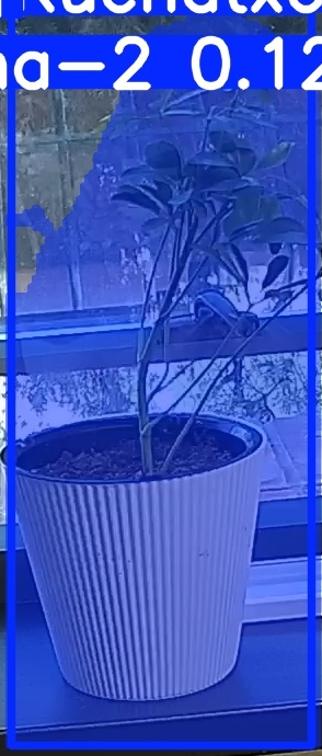 TREE-000014_20260623_075311.jpg