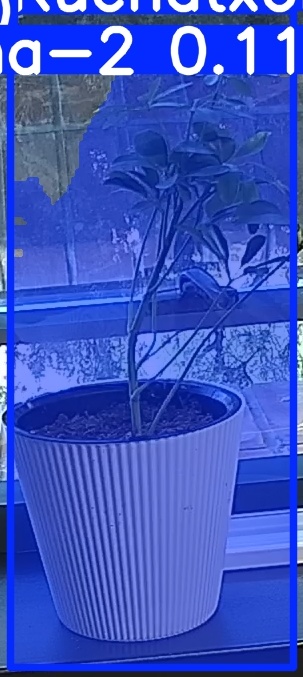 TREE-000014_20260623_075425.jpg