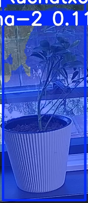 TREE-000014_20260623_075536.jpg
