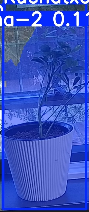 TREE-000014_20260623_075650.jpg