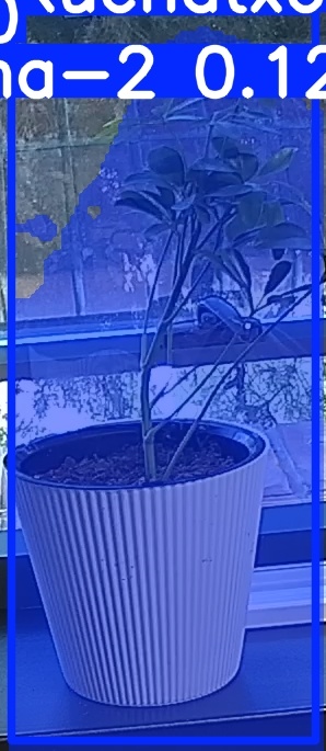TREE-000014_20260623_075803.jpg