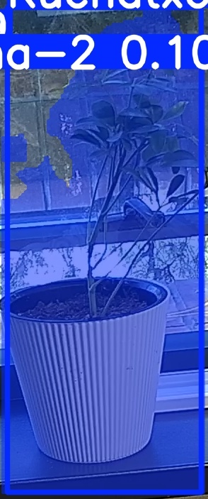 TREE-000014_20260623_081232.jpg