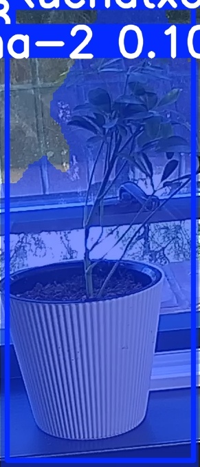 TREE-000014_20260623_081343.jpg