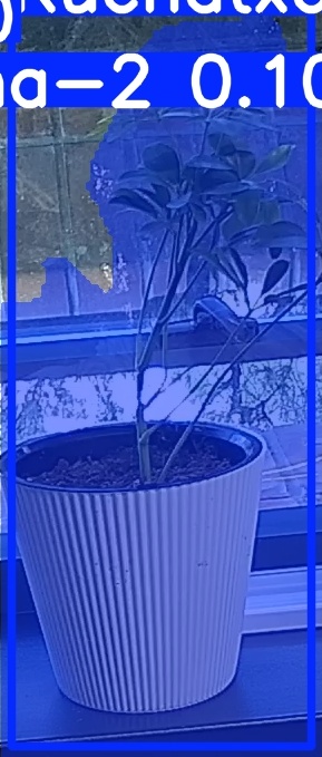 TREE-000014_20260623_081450.jpg