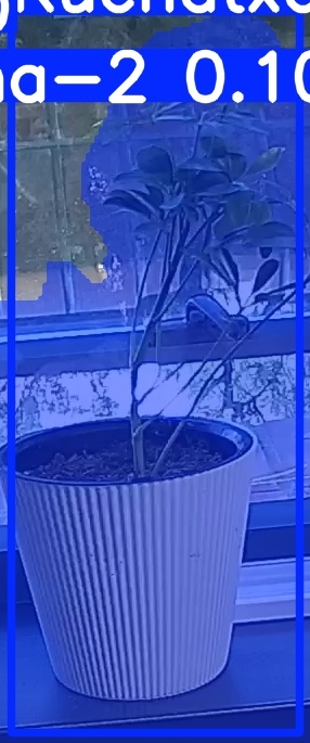 TREE-000014_20260623_081600.jpg