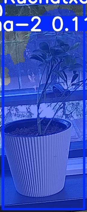 TREE-000014_20260623_081835.jpg