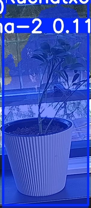 TREE-000014_20260623_081945.jpg