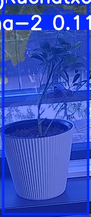 TREE-000014_20260623_082055.jpg