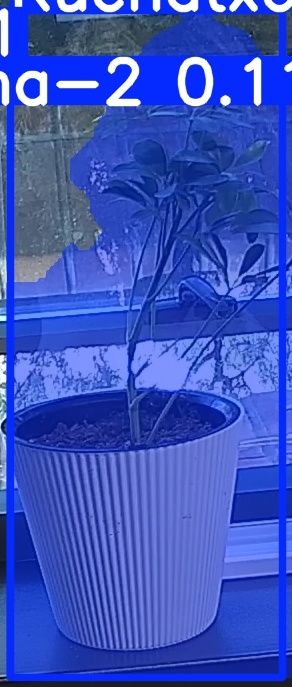 TREE-000014_20260623_082206.jpg
