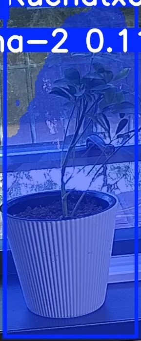 TREE-000014_20260623_082332.jpg