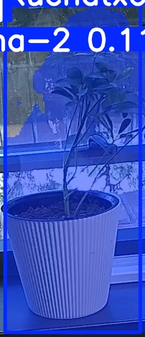TREE-000014_20260623_082445.jpg