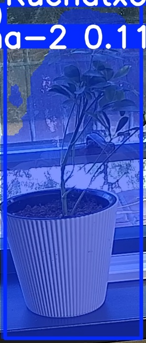 TREE-000014_20260623_082555.jpg