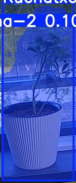 TREE-000014_20260623_082831.jpg