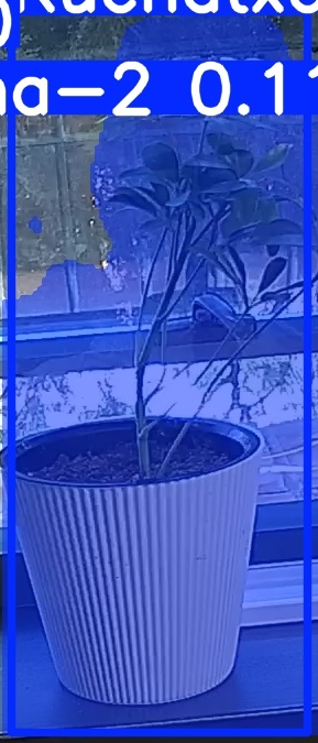 TREE-000014_20260623_082941.jpg