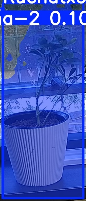 TREE-000014_20260623_083050.jpg