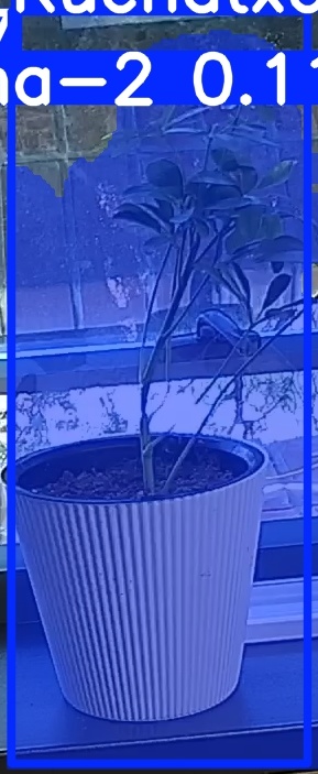 TREE-000014_20260623_083330.jpg