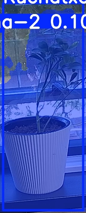 TREE-000014_20260623_083659.jpg