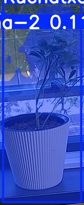 TREE-000014_20260623_083813.jpg
